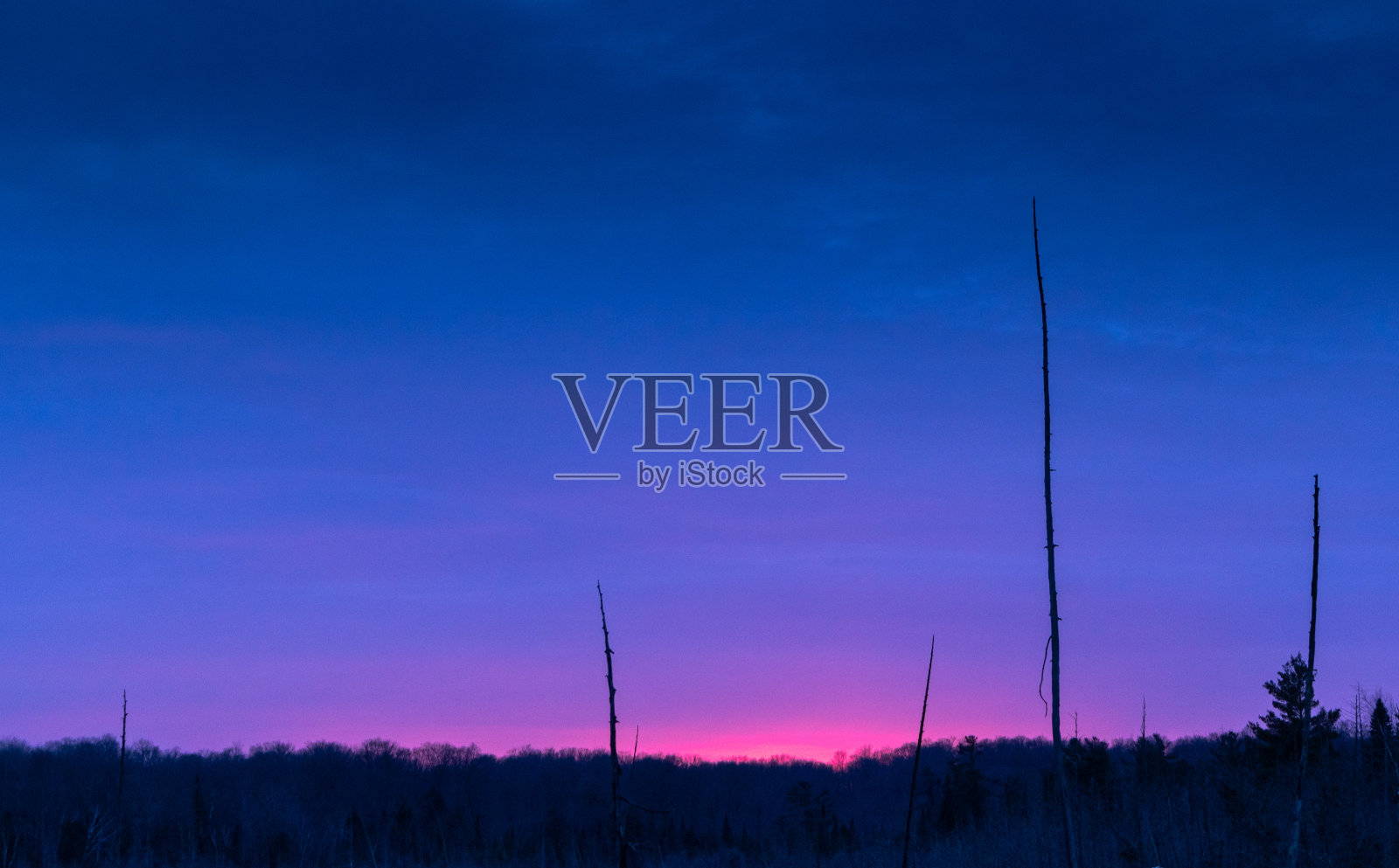 冬季森林上粉红色的夕阳照片摄影图片