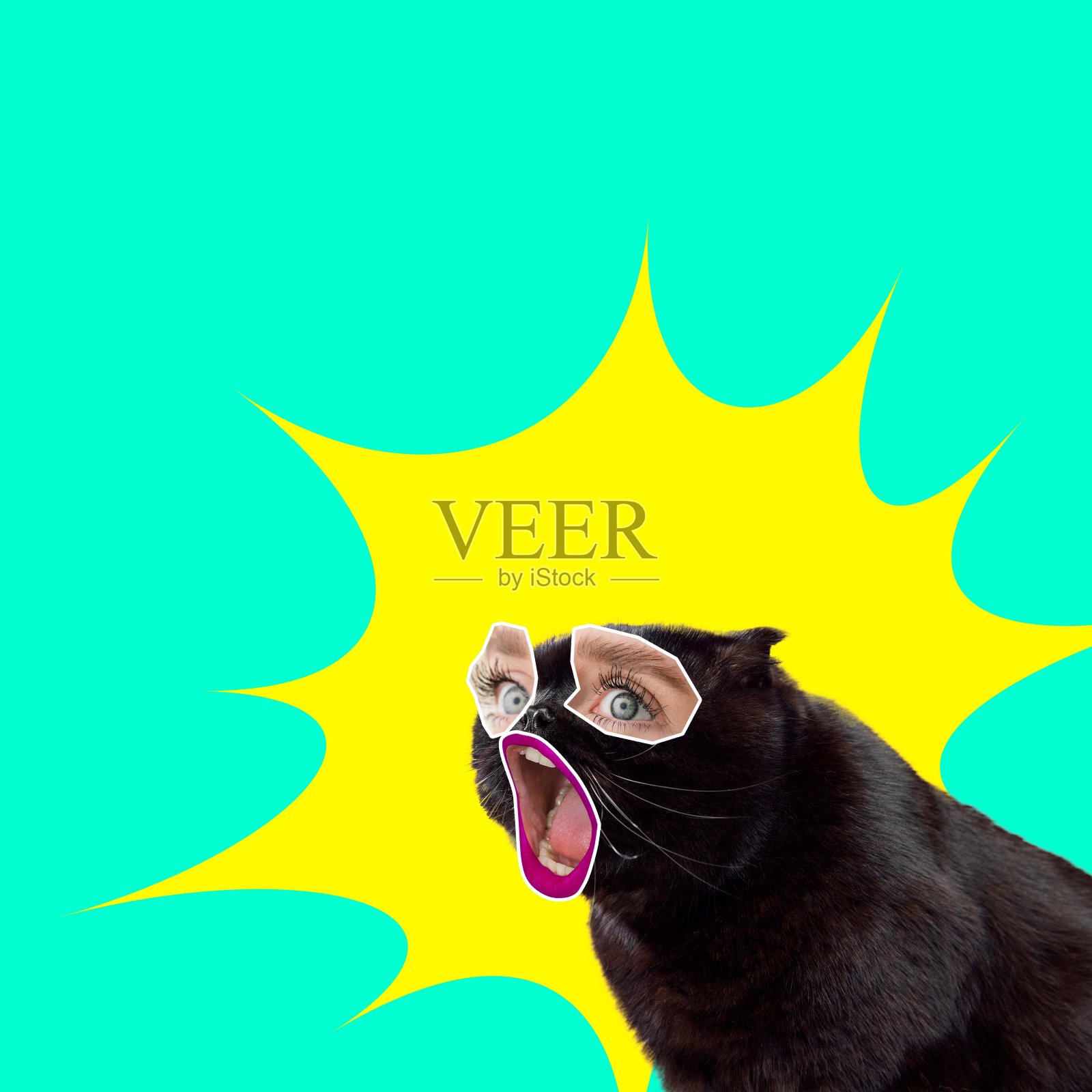 大的销售。黑色的猫，雌性的眼睛和嘴巴在绿色的背景下表示惊讶。当代艺术拼贴。照片摄影图片