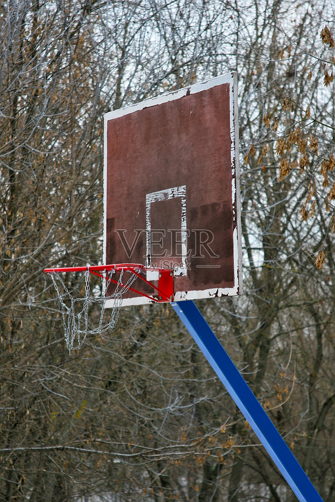 公园运动场上的篮球篮板照片摄影图片