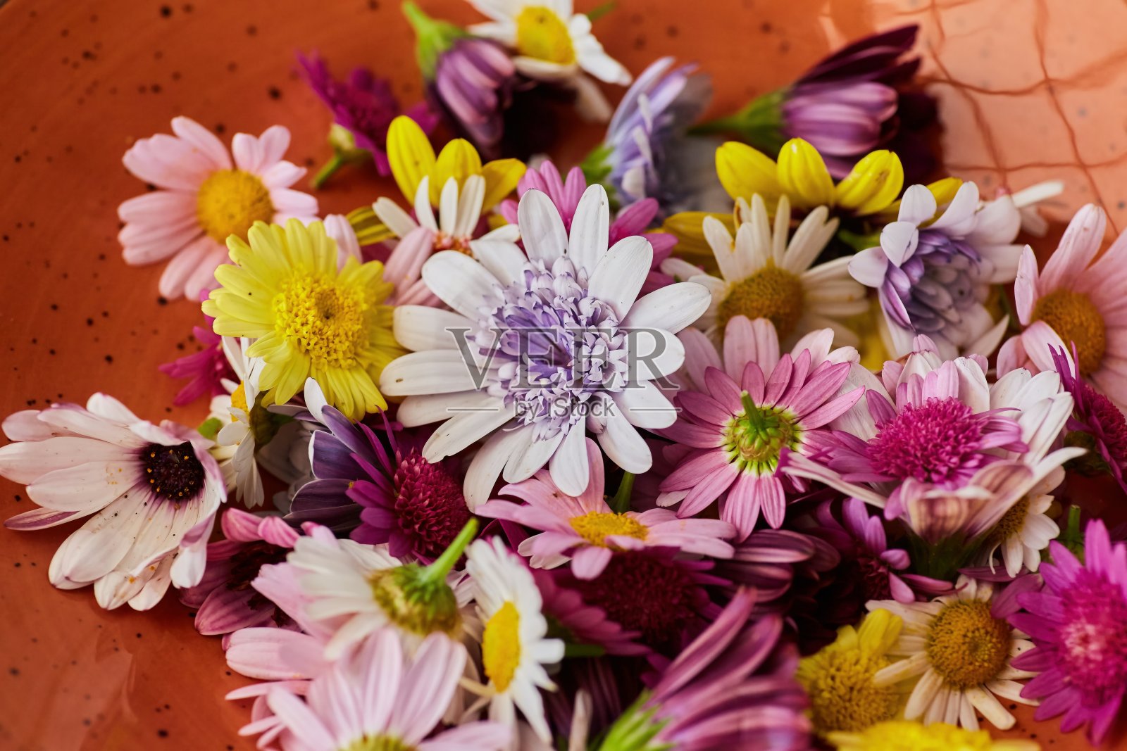 装有鲜花的盘子，特写。植物性营养和有机食品的概念。照片摄影图片