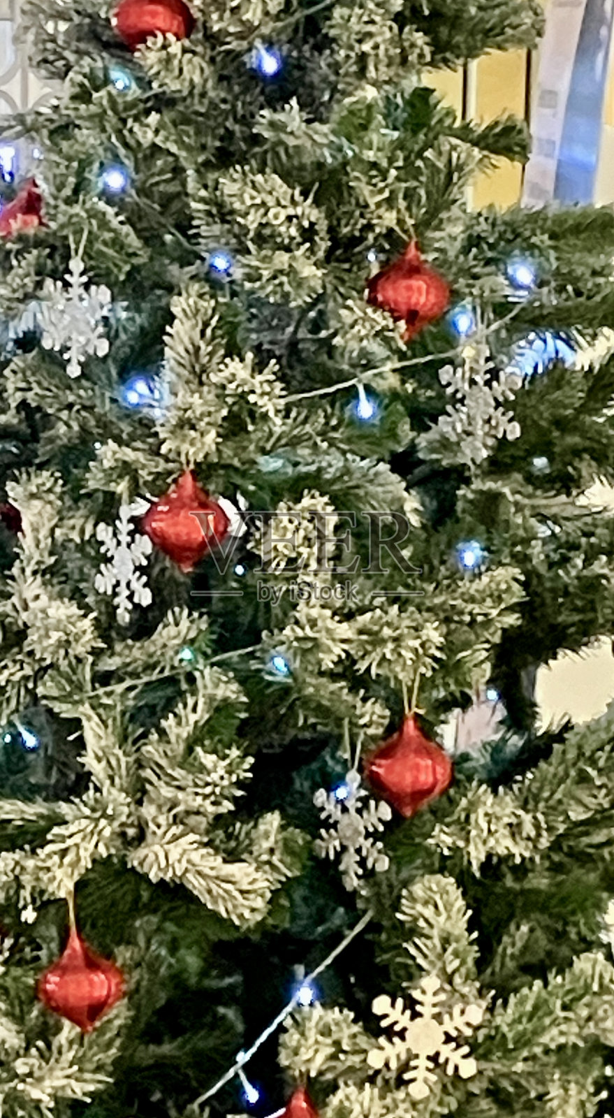 圣诞节照片摄影图片