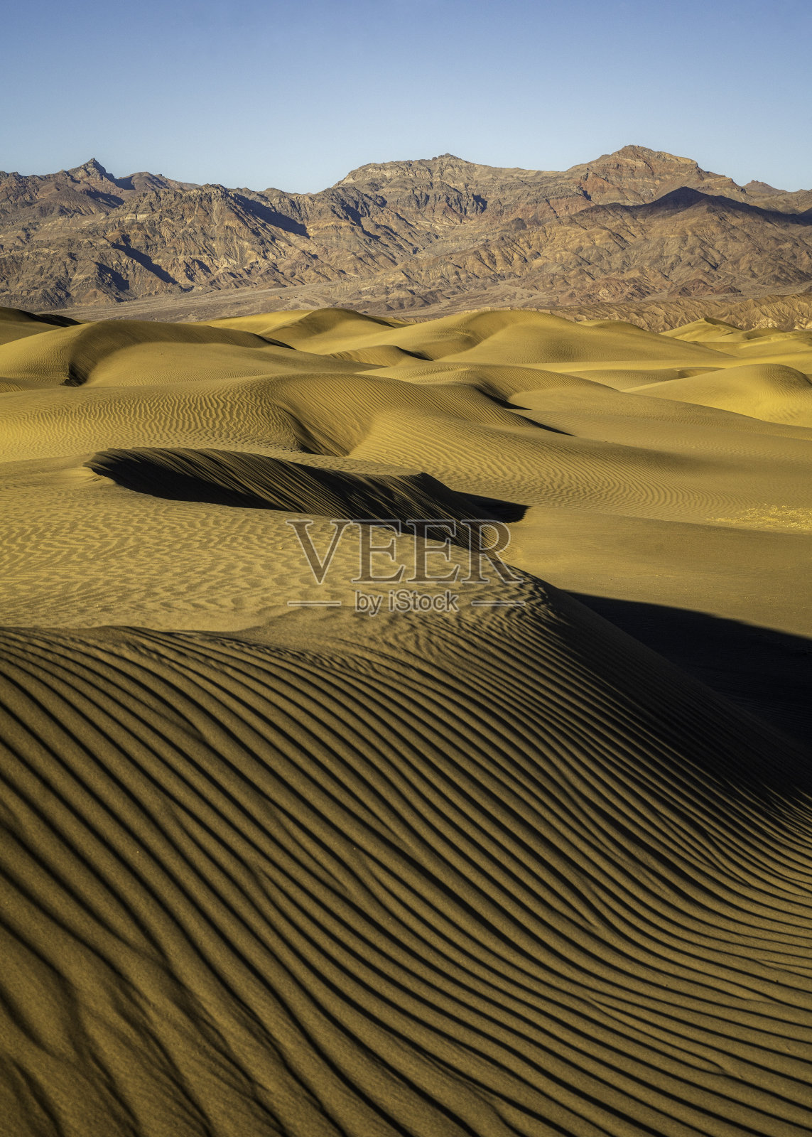 沙丘照片摄影图片