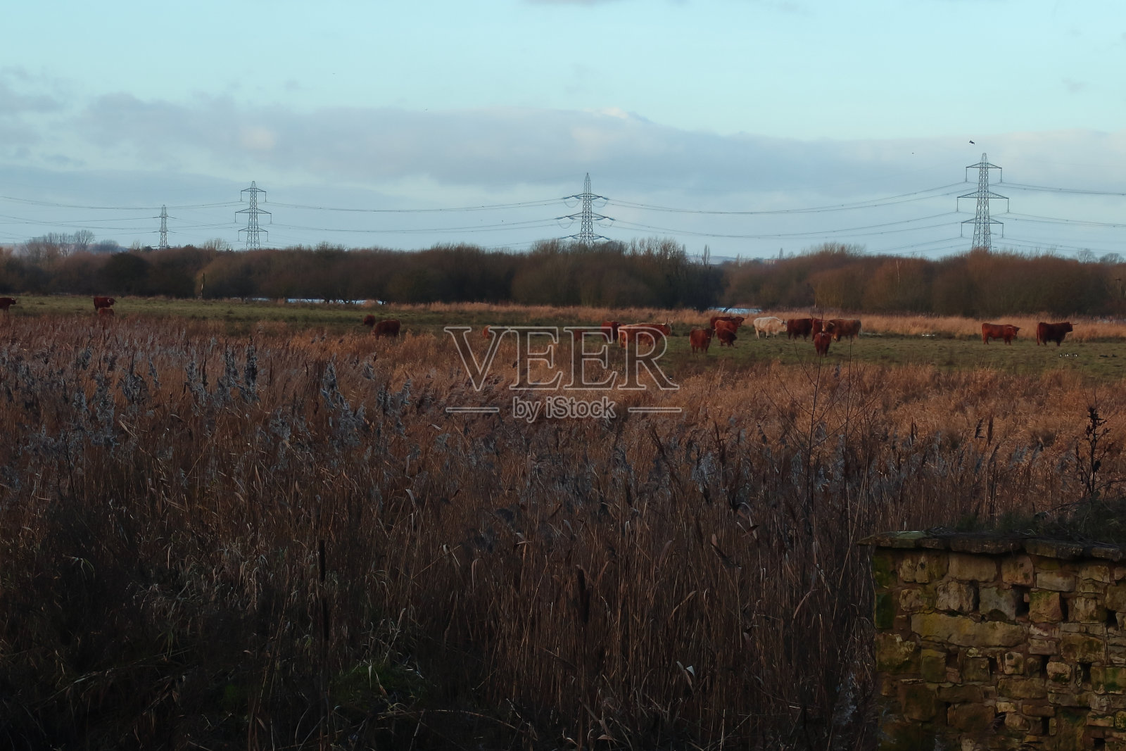 农村的场景照片摄影图片