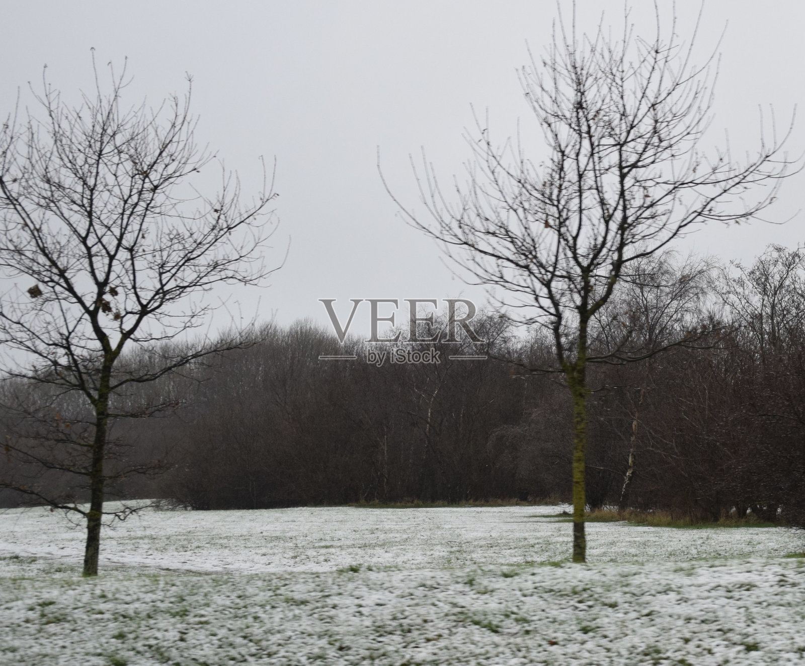 冬天的公园照片摄影图片