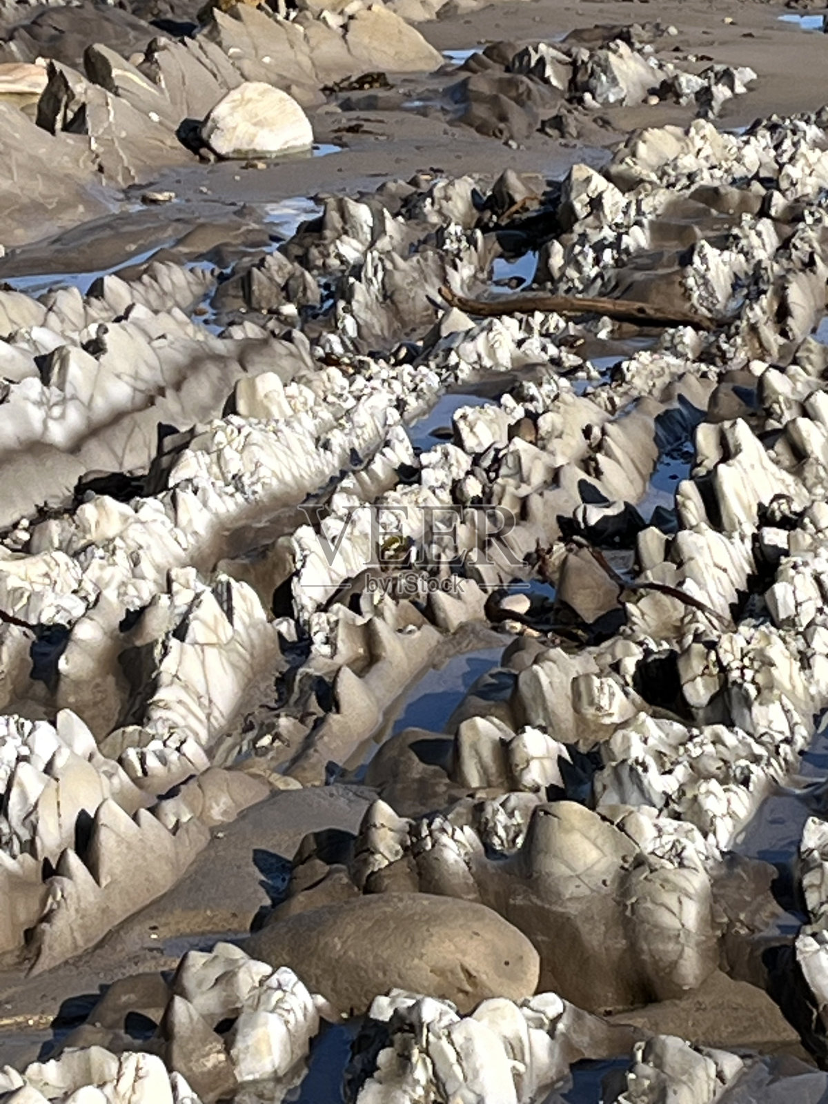海水边岩照片摄影图片