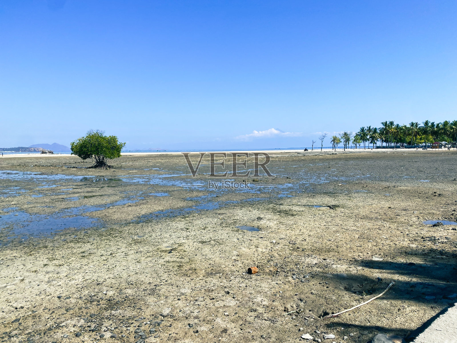 早晨海滩上的气氛照片摄影图片