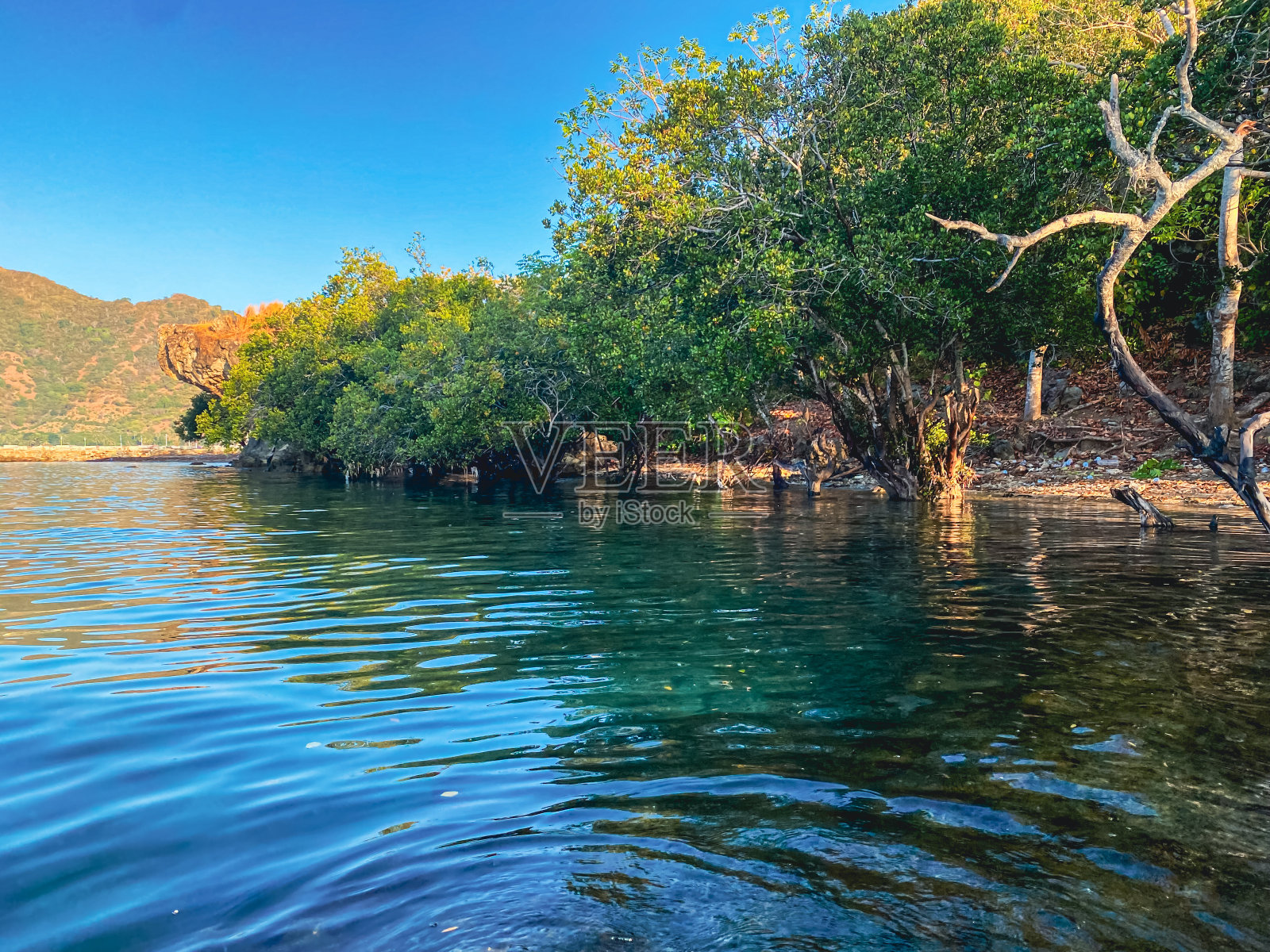 早晨海滩上的气氛照片摄影图片