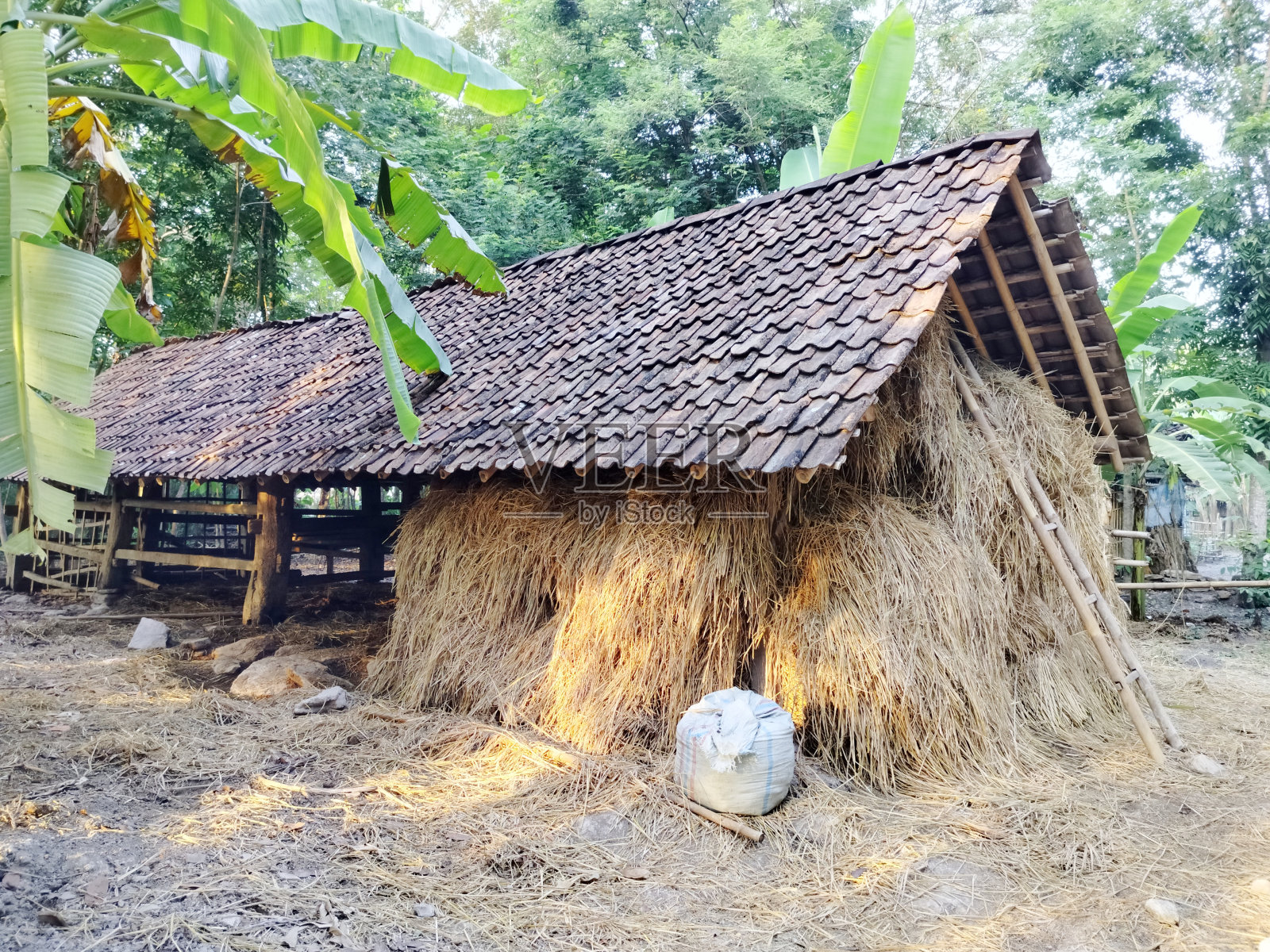 动物饲料贮存处照片摄影图片