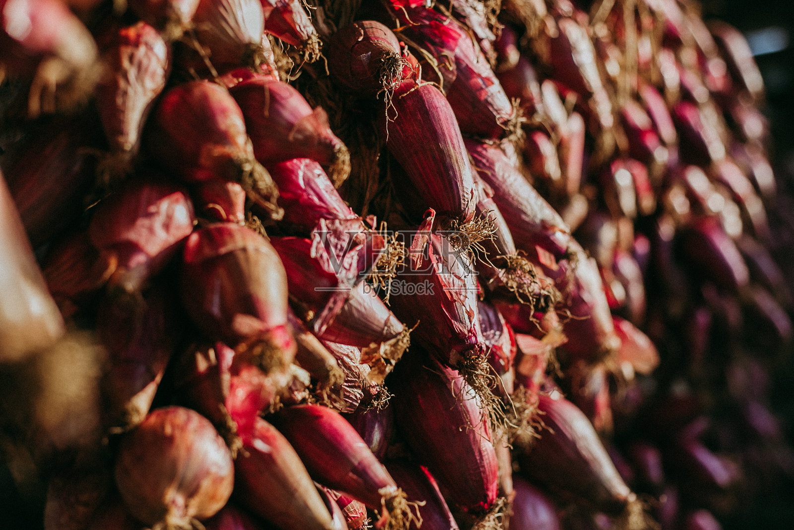 一排排红色的洋葱挂在阳光下照片摄影图片