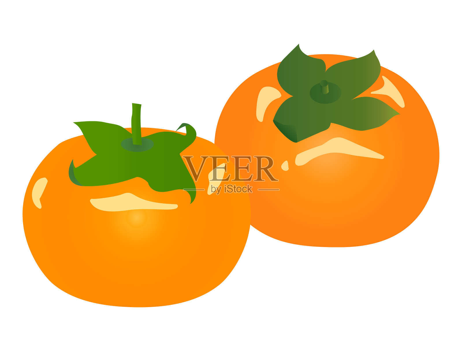 两个柿子插画图片素材