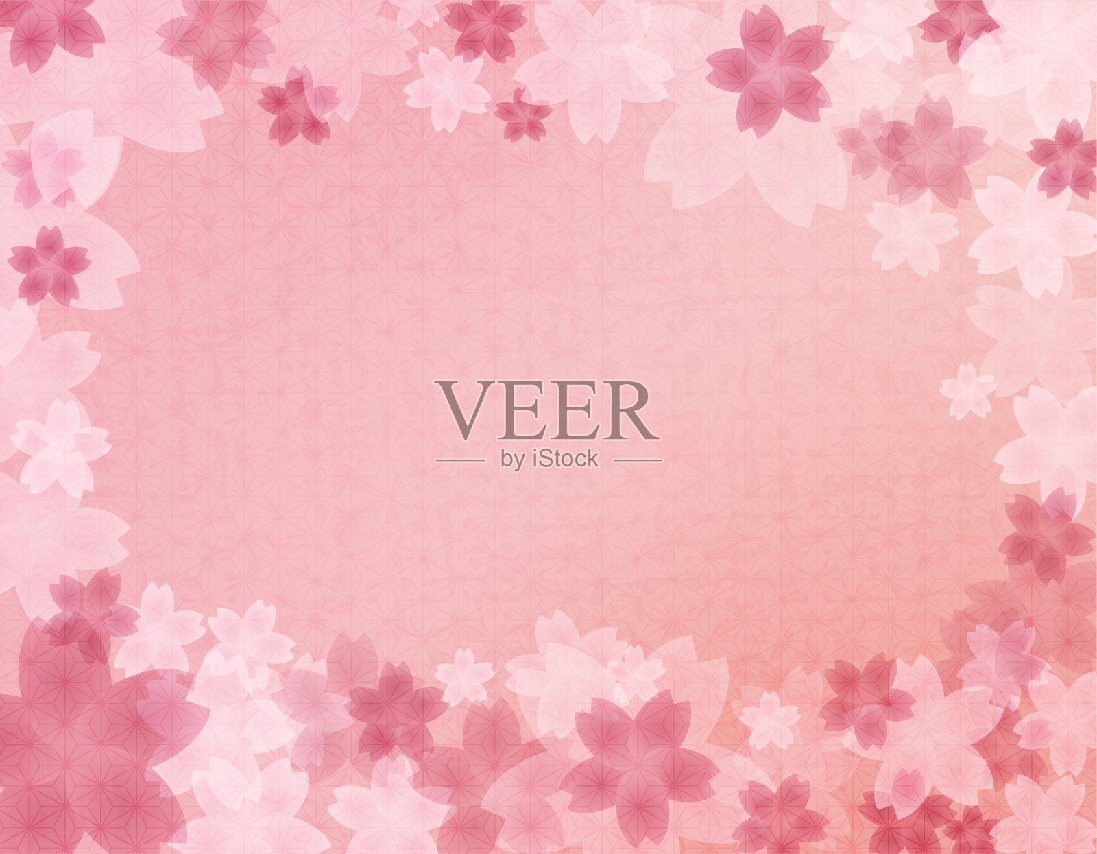 樱花花瓣的日本图案背景插图。粉红色渐变背景插画图片素材