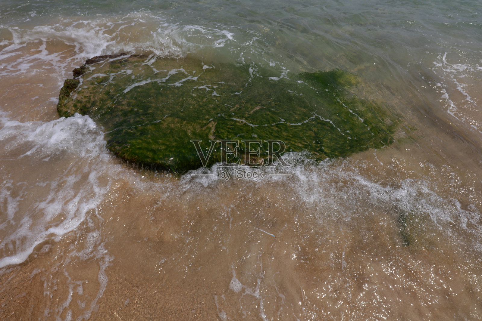 绿藻覆盖岩石，亚龙湾，三亚市，中国南方照片摄影图片