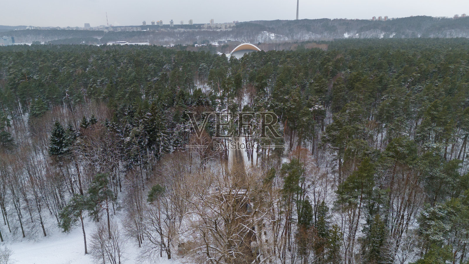 冬季，森林城市公园中央的一个舞台的无人机摄影照片摄影图片