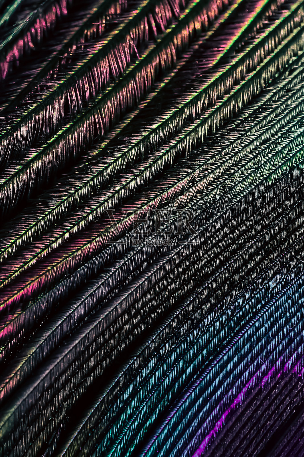 彩色的背景。照片摄影图片