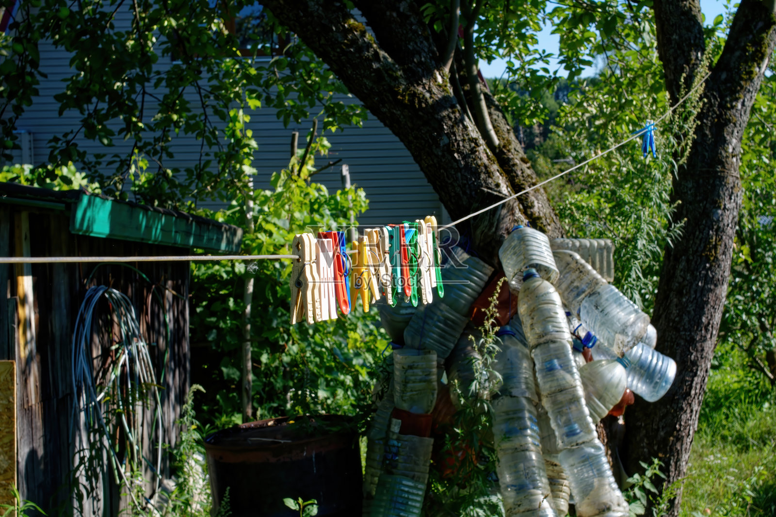 挂在花园里绳子上的衣夹照片摄影图片
