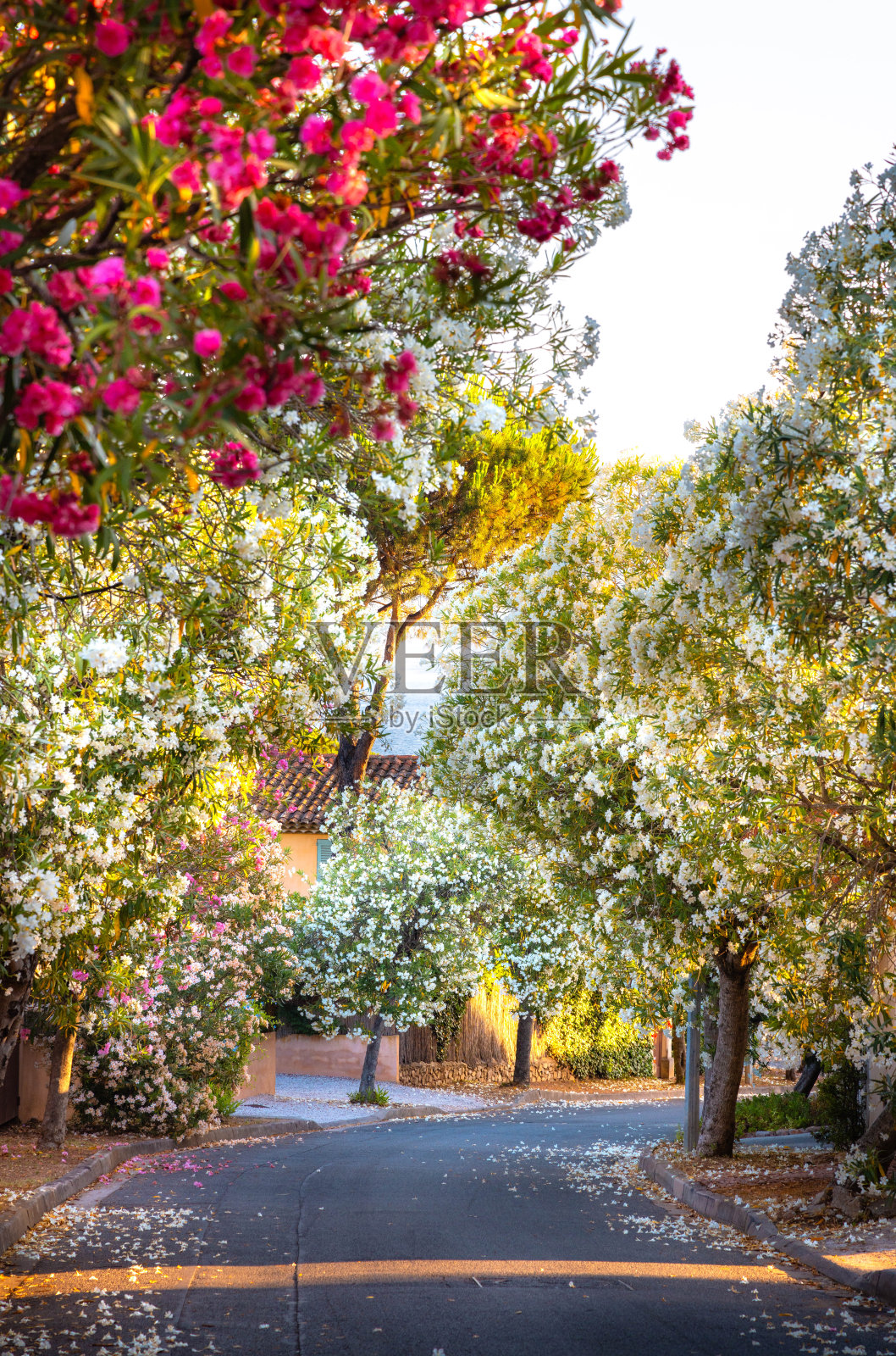 天空照片摄影图片