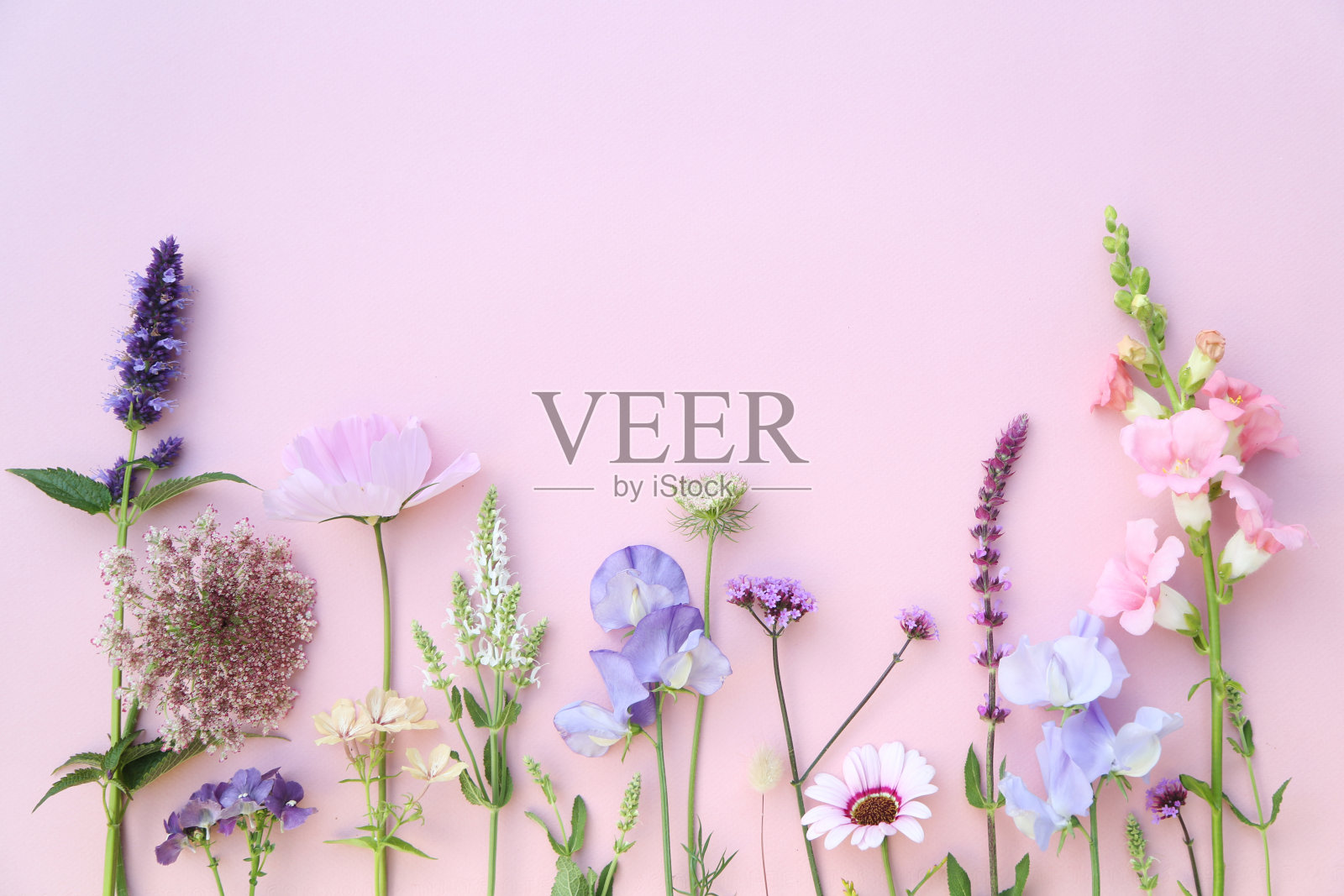 混合的花照片摄影图片