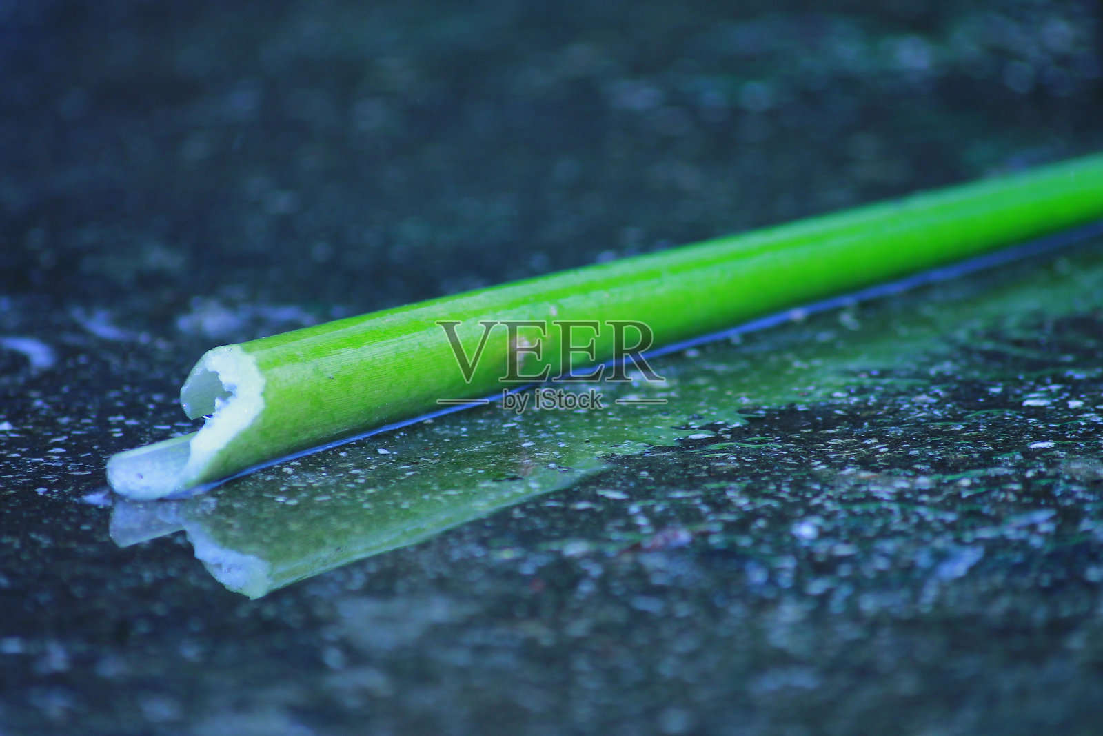 雨后潮湿表面上绿色植物茎的特写镜头照片摄影图片