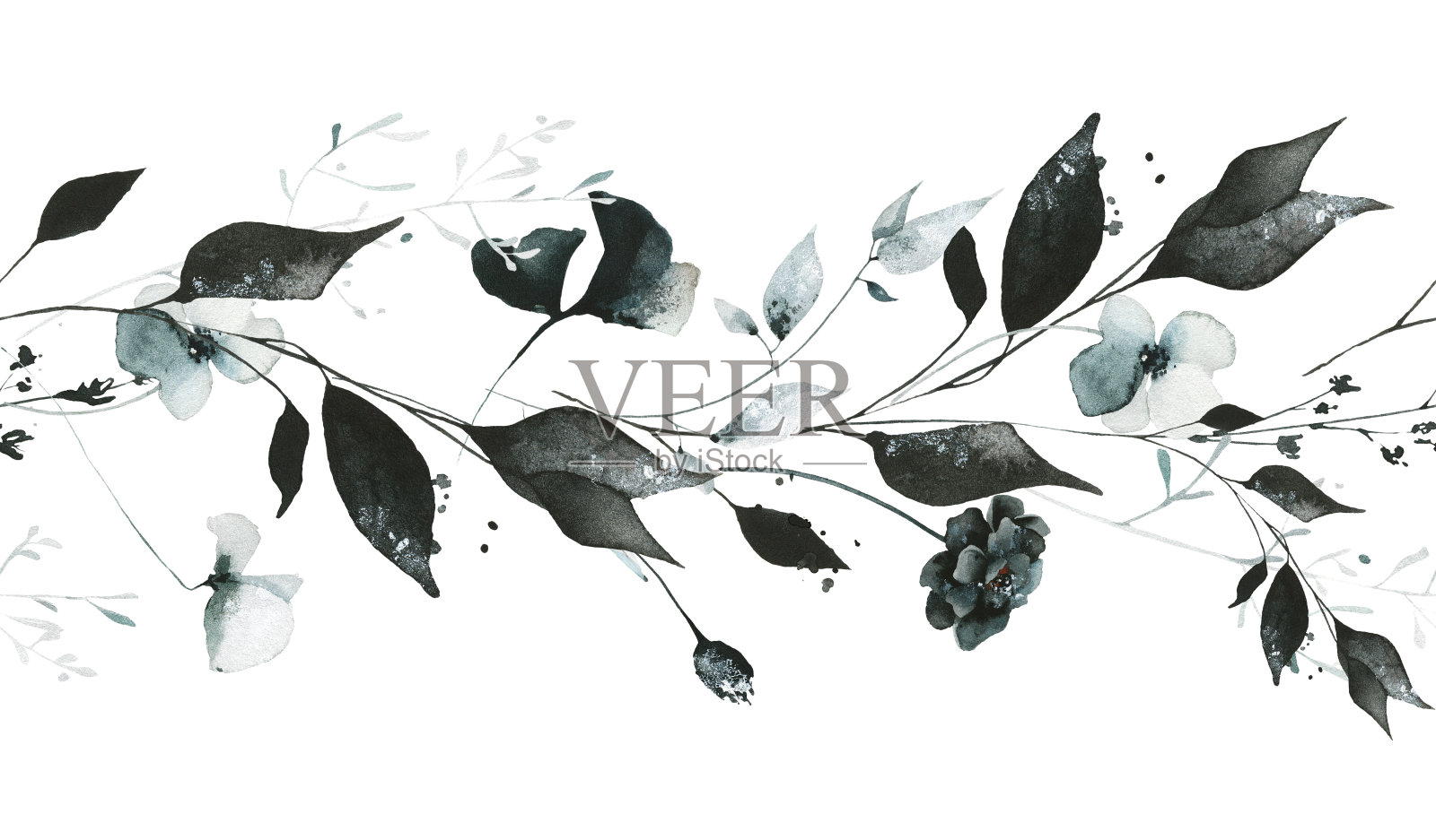水彩花卉无缝边框框架。黑色叶子，灰色，蓝色三色花，银杏叶，草甸草本。插画图片素材