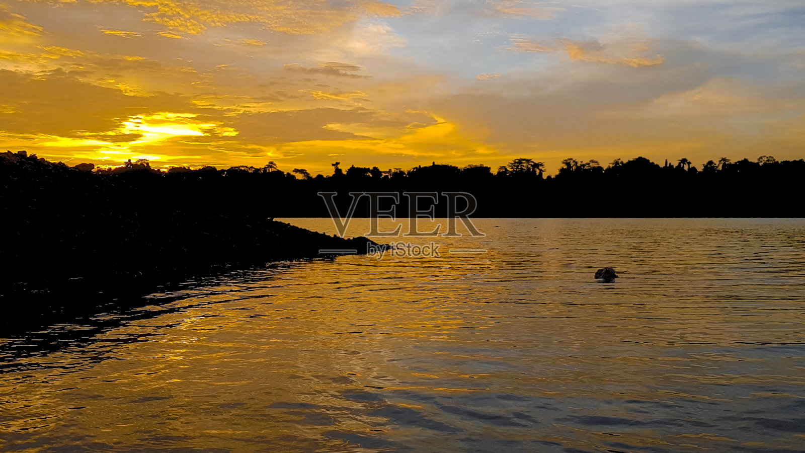 迷人的日落在热带森林湖，画天空与充满活力的色调，反映大自然的宁静照片摄影图片