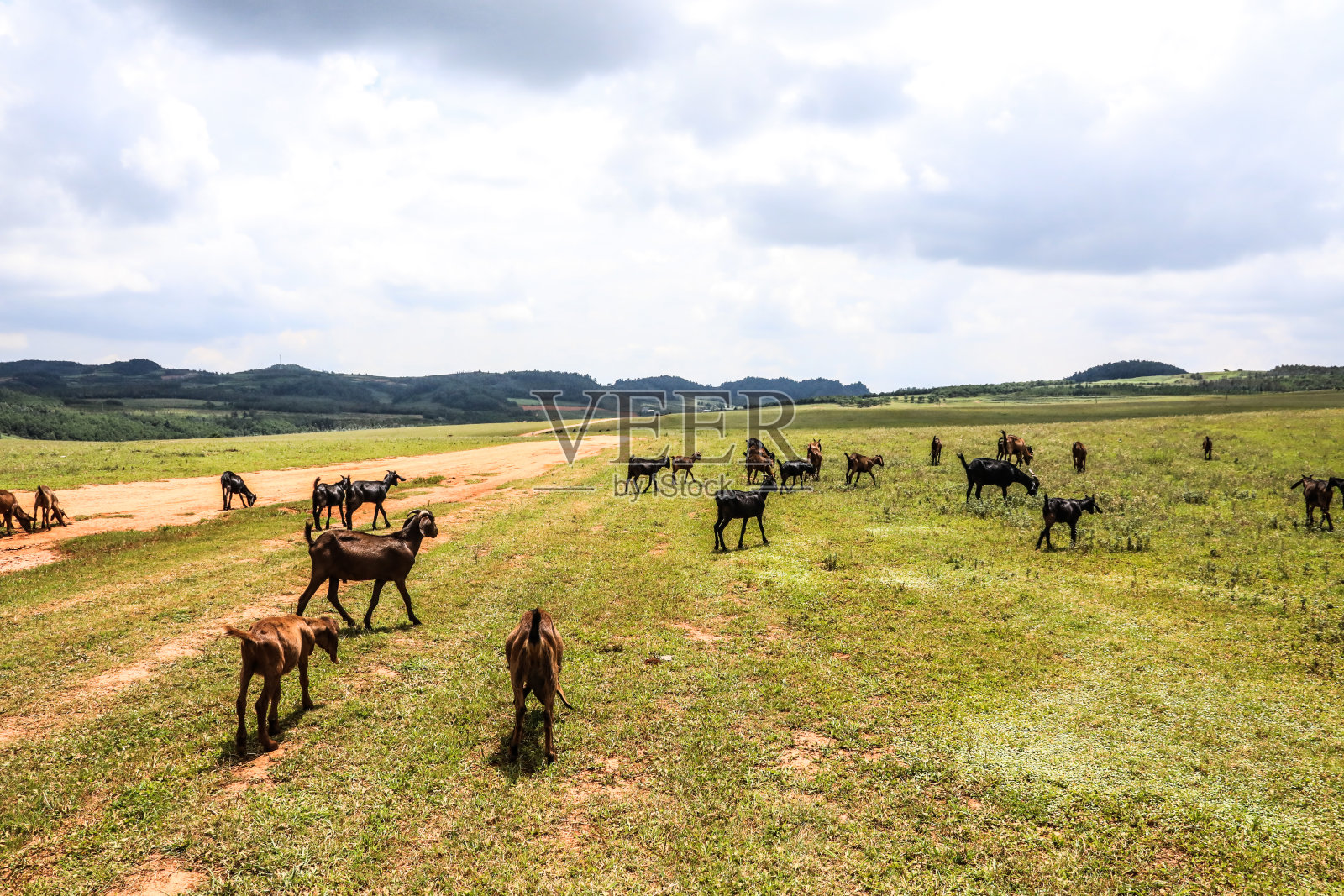 中国云南昆明北大营草原照片摄影图片