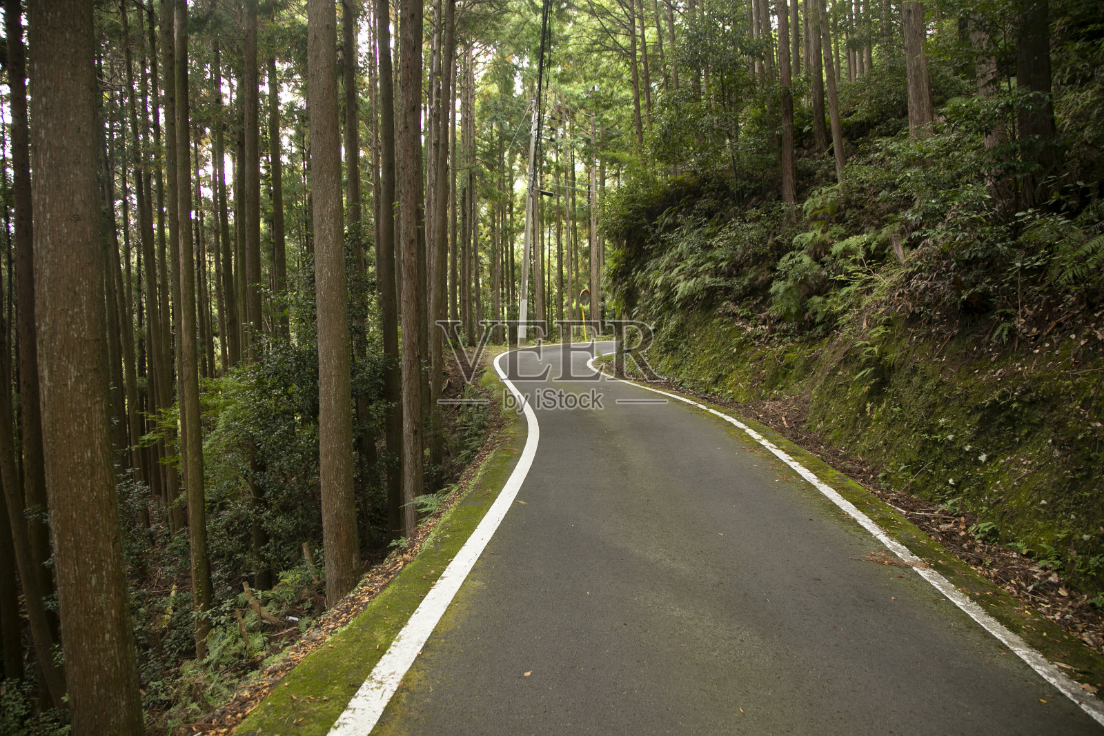 日本和歌山半岛山上蜿蜒的道路照片摄影图片