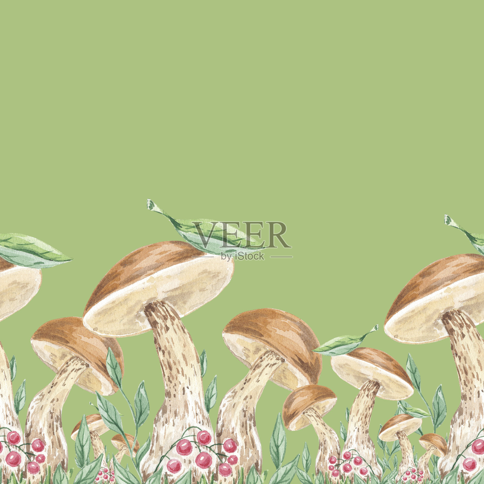 水彩框架边界蘑菇和浆果无缝图案手绘。植物设计的自然艺术插图插画图片素材