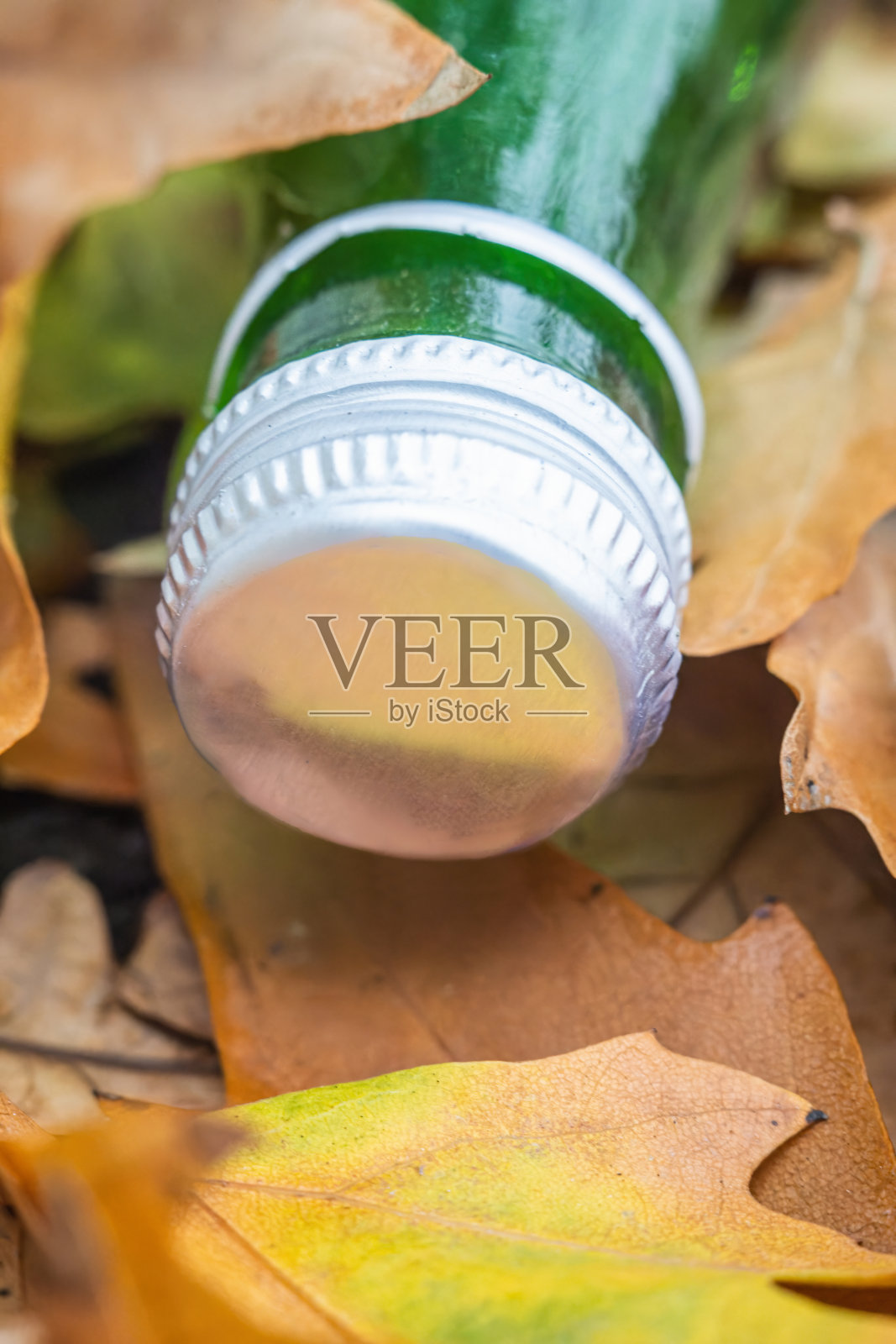 瓶子上五颜六色的秋叶照片摄影图片