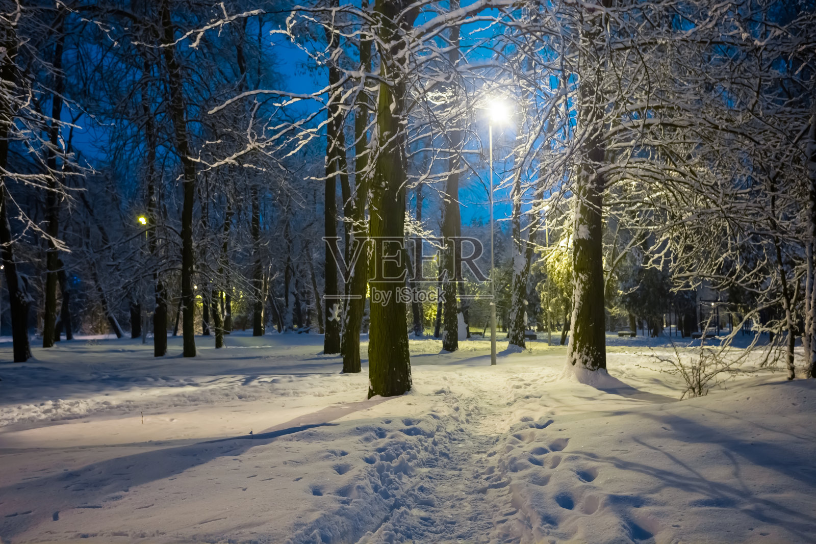 冬天被雪困住的公园的夜晚照片摄影图片