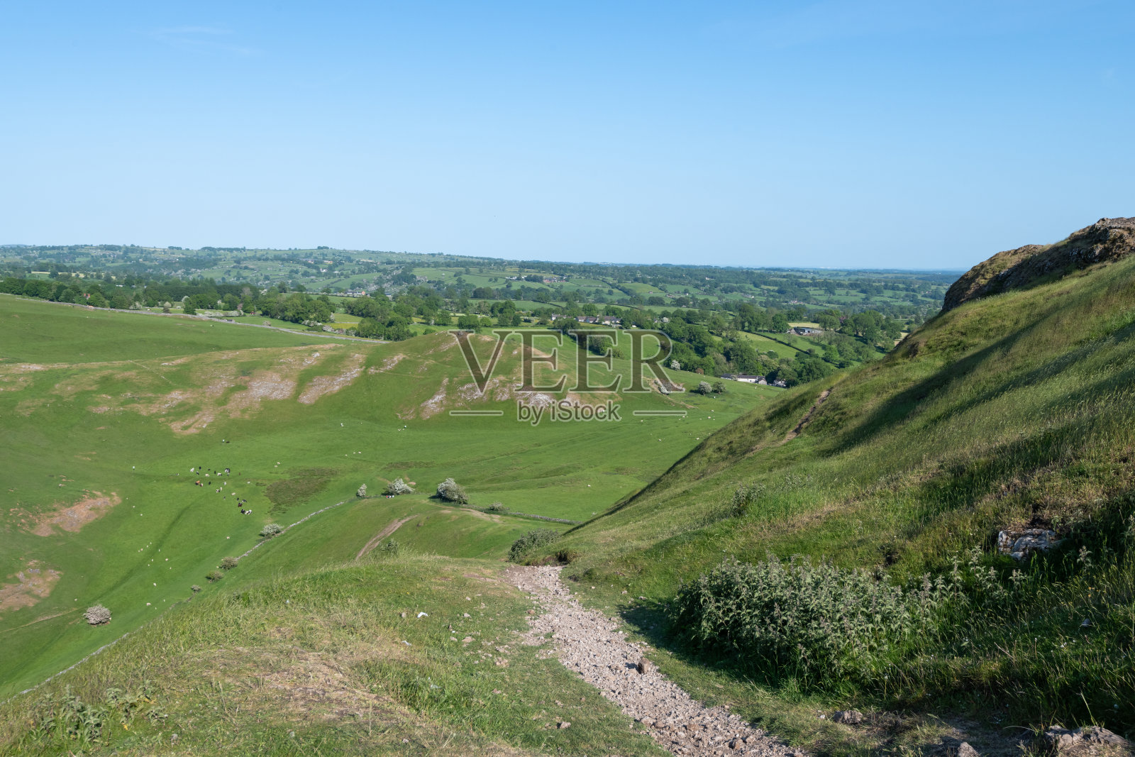 多夫多拉照片摄影图片