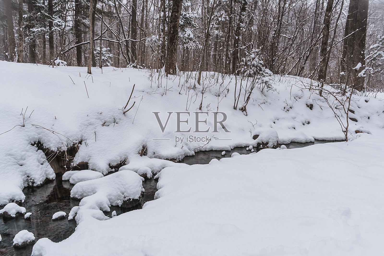 冬日里雪林里的小溪。照片摄影图片