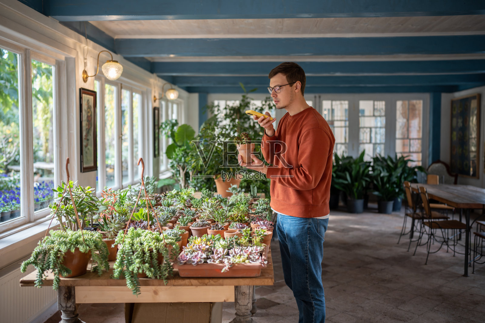 植物爱好者通过制作照片，阅读手机应用程序中的信息来检查花卉名称照片摄影图片