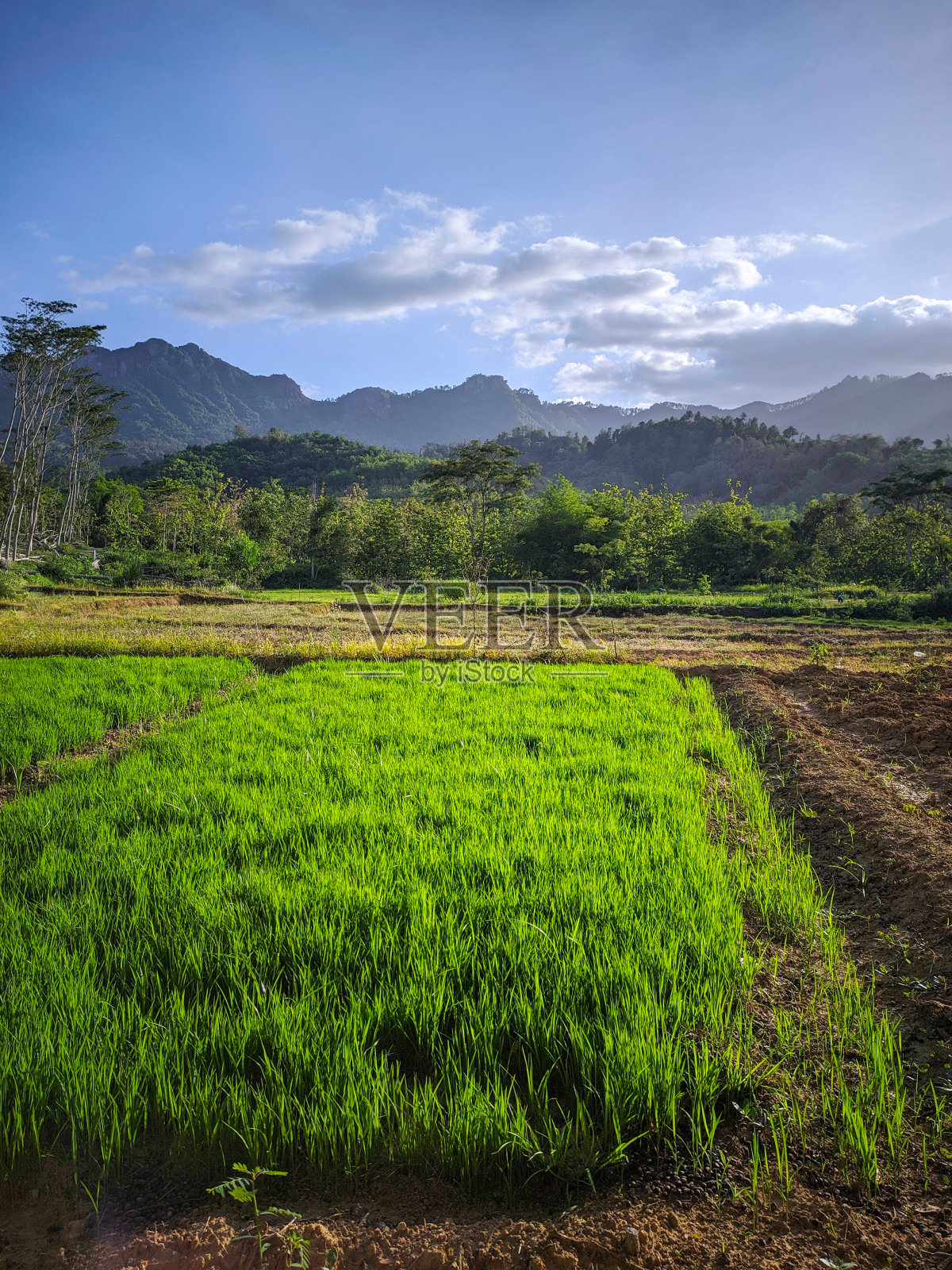 干旱照片摄影图片