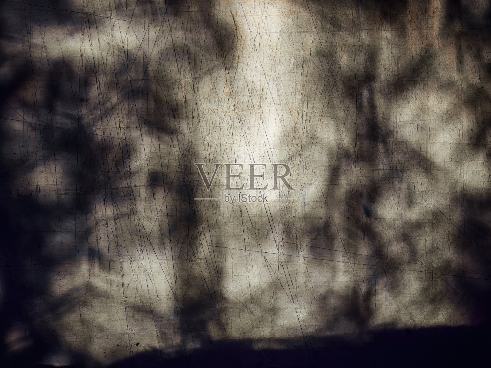 日出的光投下的植被的影子照片摄影图片