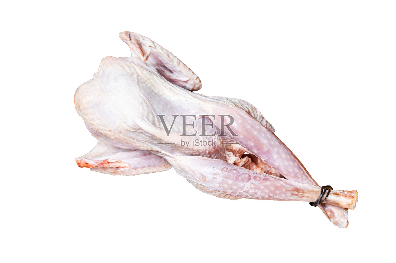 农场生珍珠鸡，珍珠鸡与草药准备烹饪。孤立，白色背景。照片摄影图片