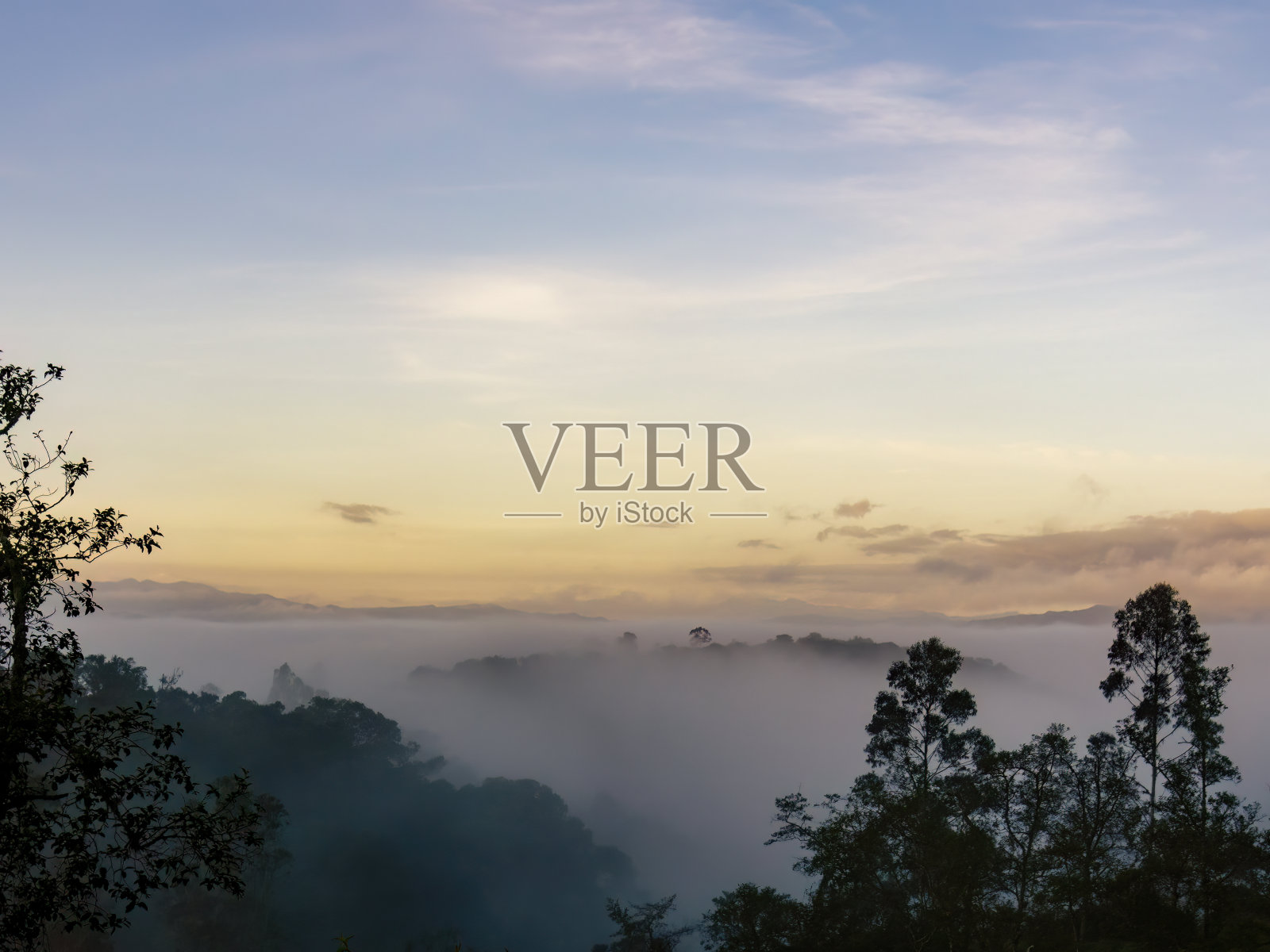 小山和森林的景色被低雾覆盖照片摄影图片