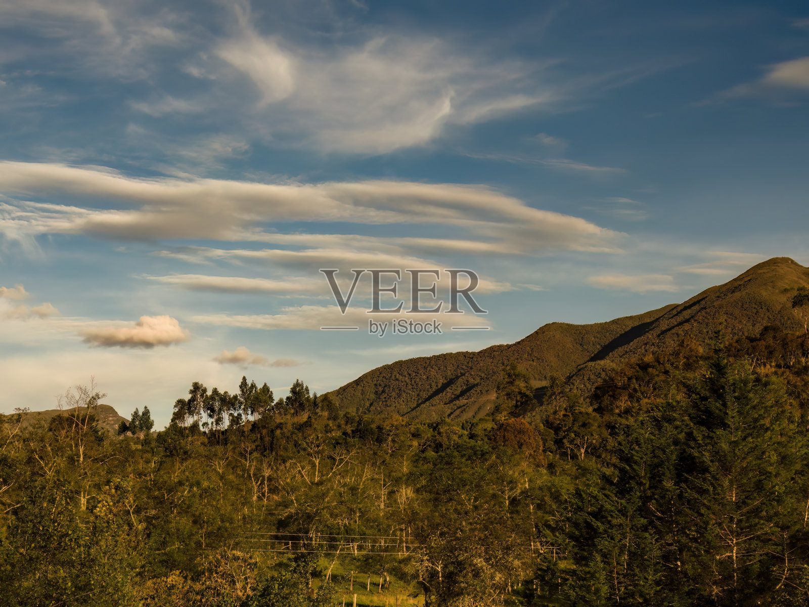 伊瓜克动植物保护区的一部分照片摄影图片