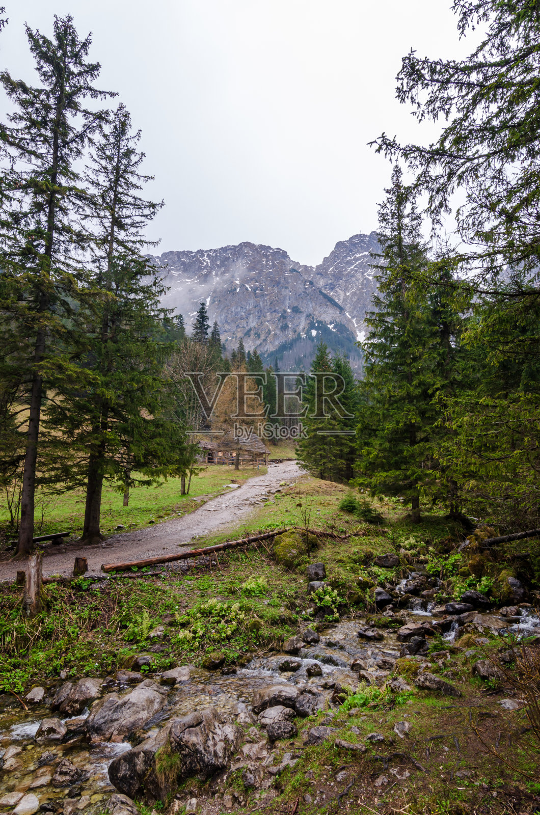 扎科帕内,波兰。Polana Strążyska塔特拉山脉的山谷。照片摄影图片