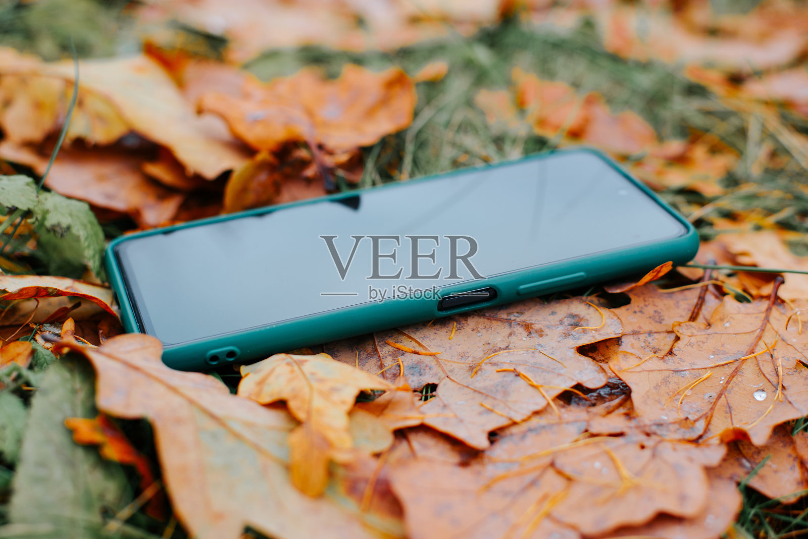 丢失的智能手机、手机躺在户外的草地上照片摄影图片