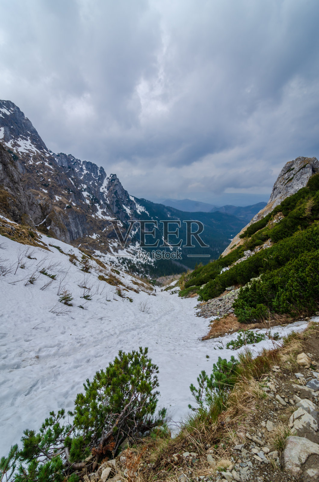 从山口(Malolackie Siodlo)在一个小草地(Dolina Malej Laki)的山谷全景。塔特拉山脉，波兰。照片摄影图片