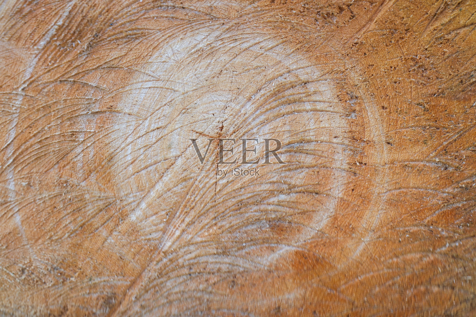 树干的纹理照片摄影图片