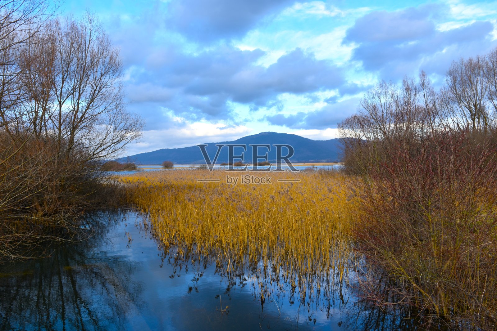 斯洛文尼亚Notranjska Cerkniško jezero湖岸边的Slivnica山和芦苇(芦苇)照片摄影图片