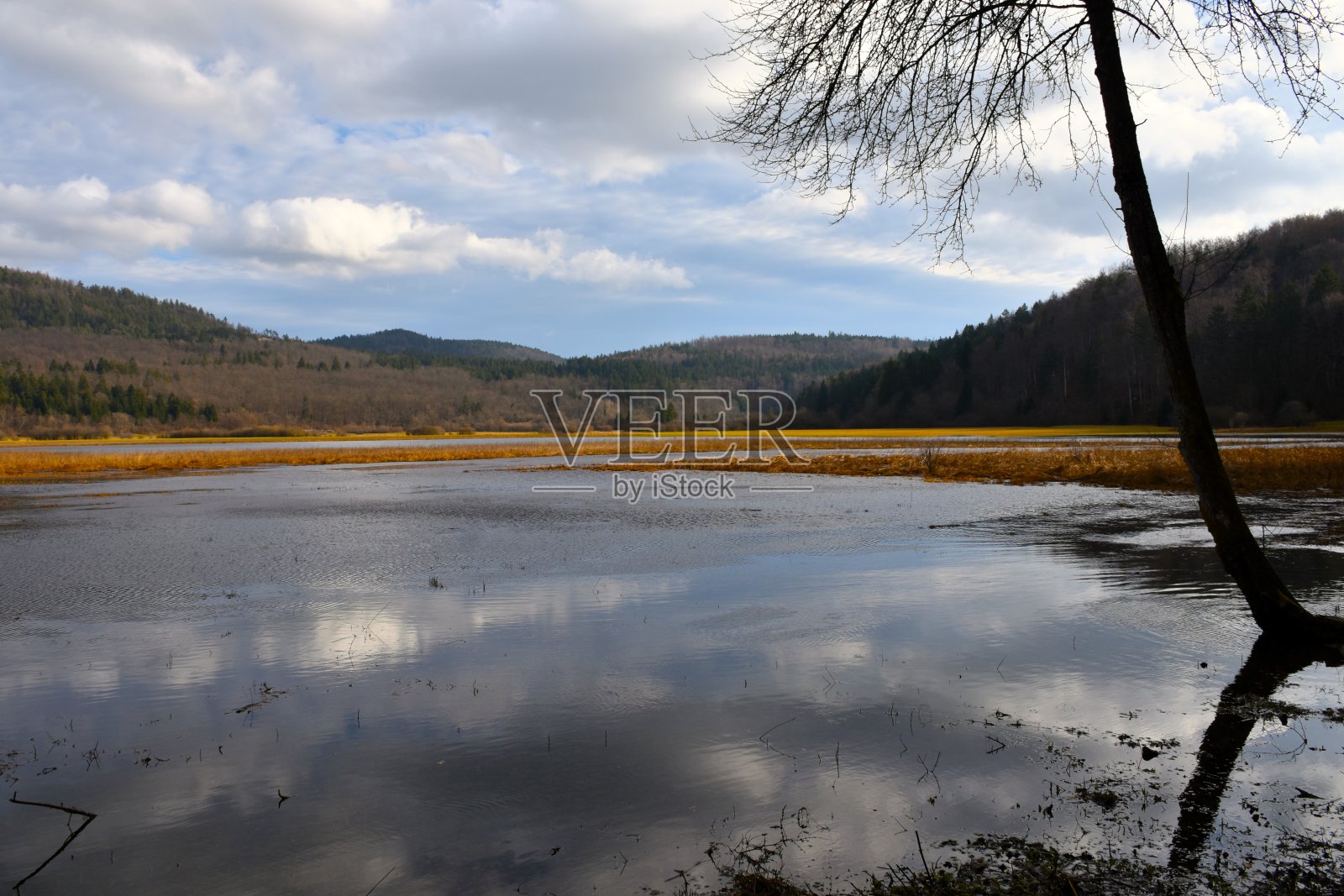间歇的Cerkniško耶泽罗湖的看法，反映了云在水中和森林覆盖的山丘照片摄影图片
