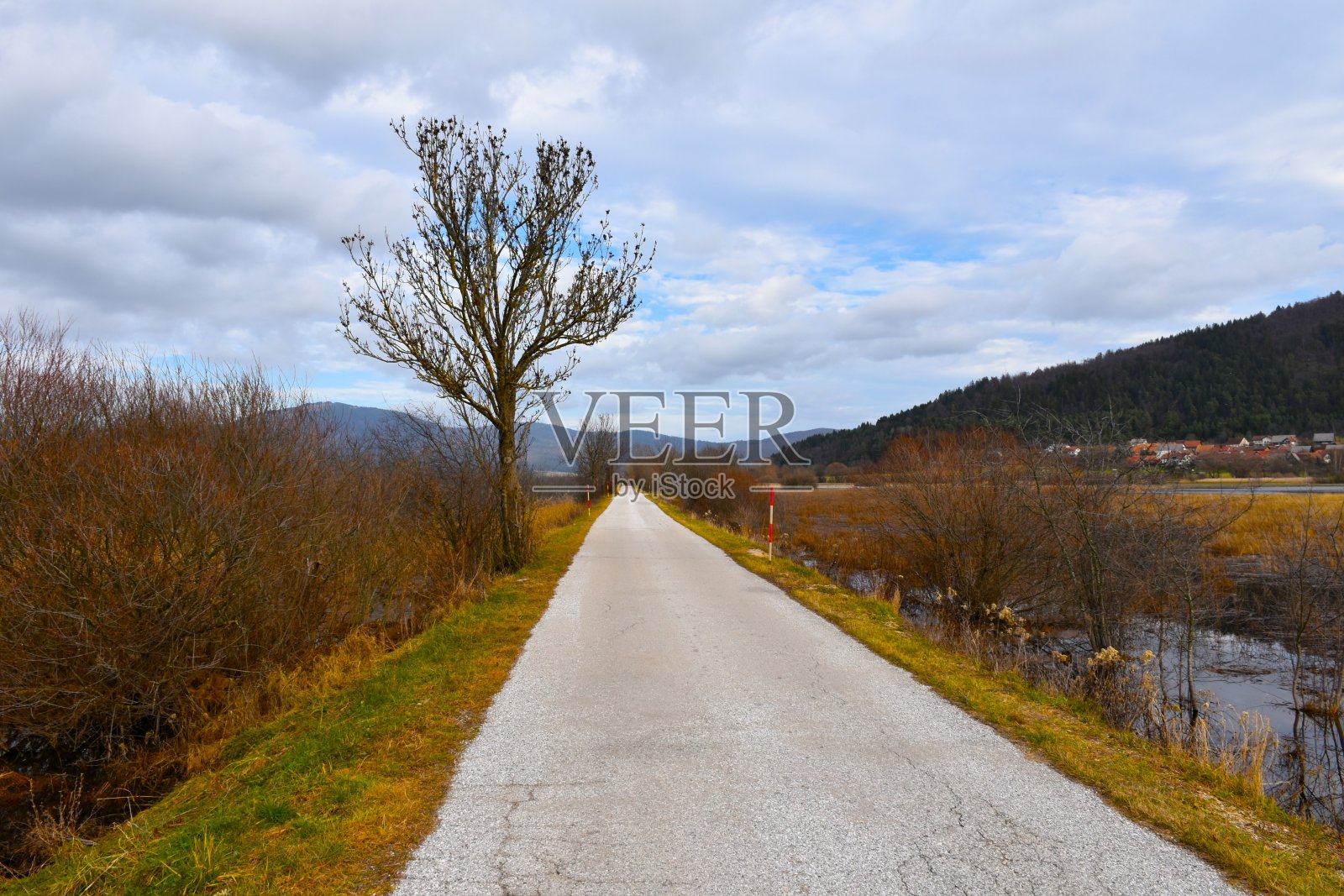 斯洛文尼亚Notranjska的一条笔直的道路穿过Cerknica湖照片摄影图片