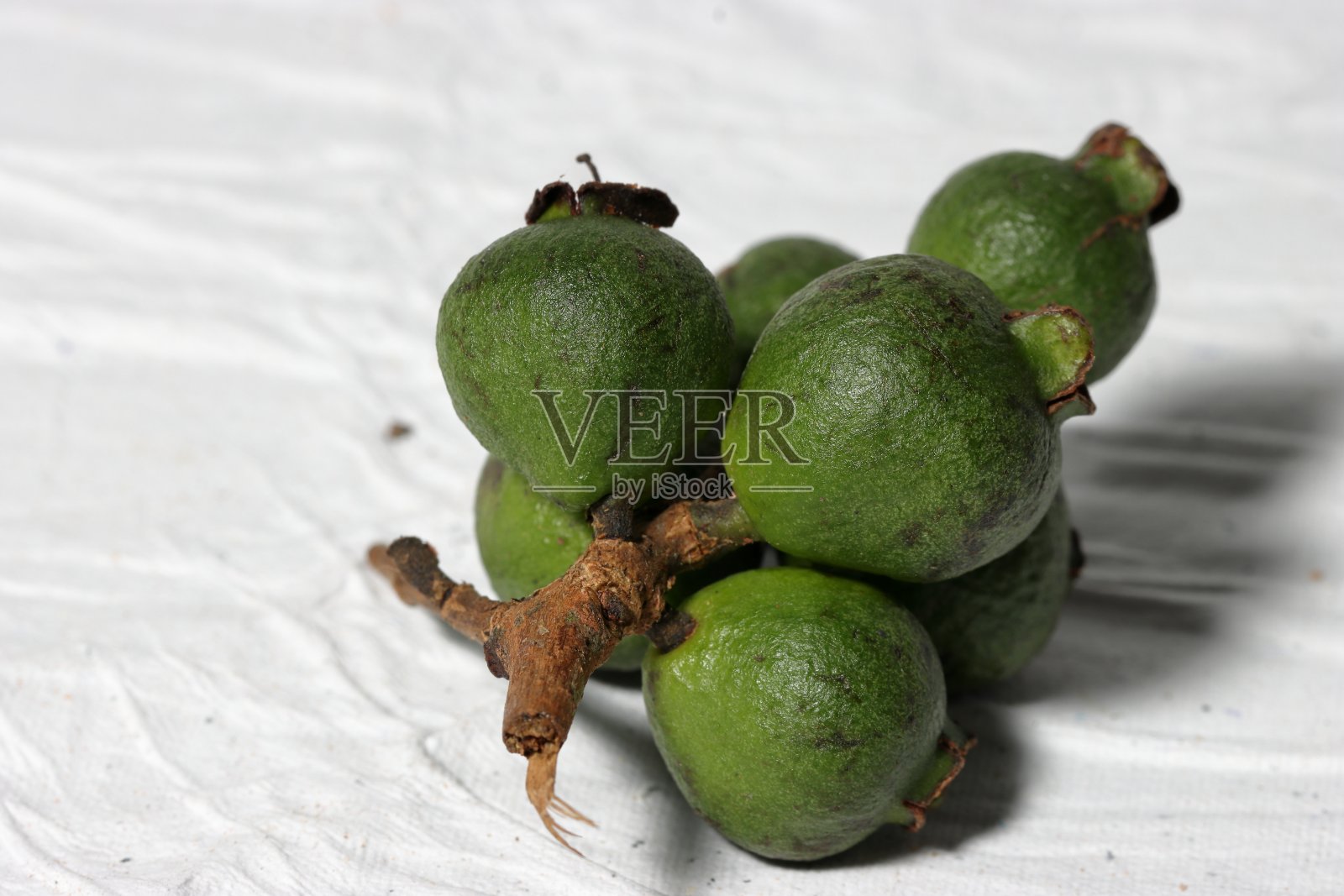 番石榴，普通番石榴，黄番石榴，柠檬番石榴照片摄影图片