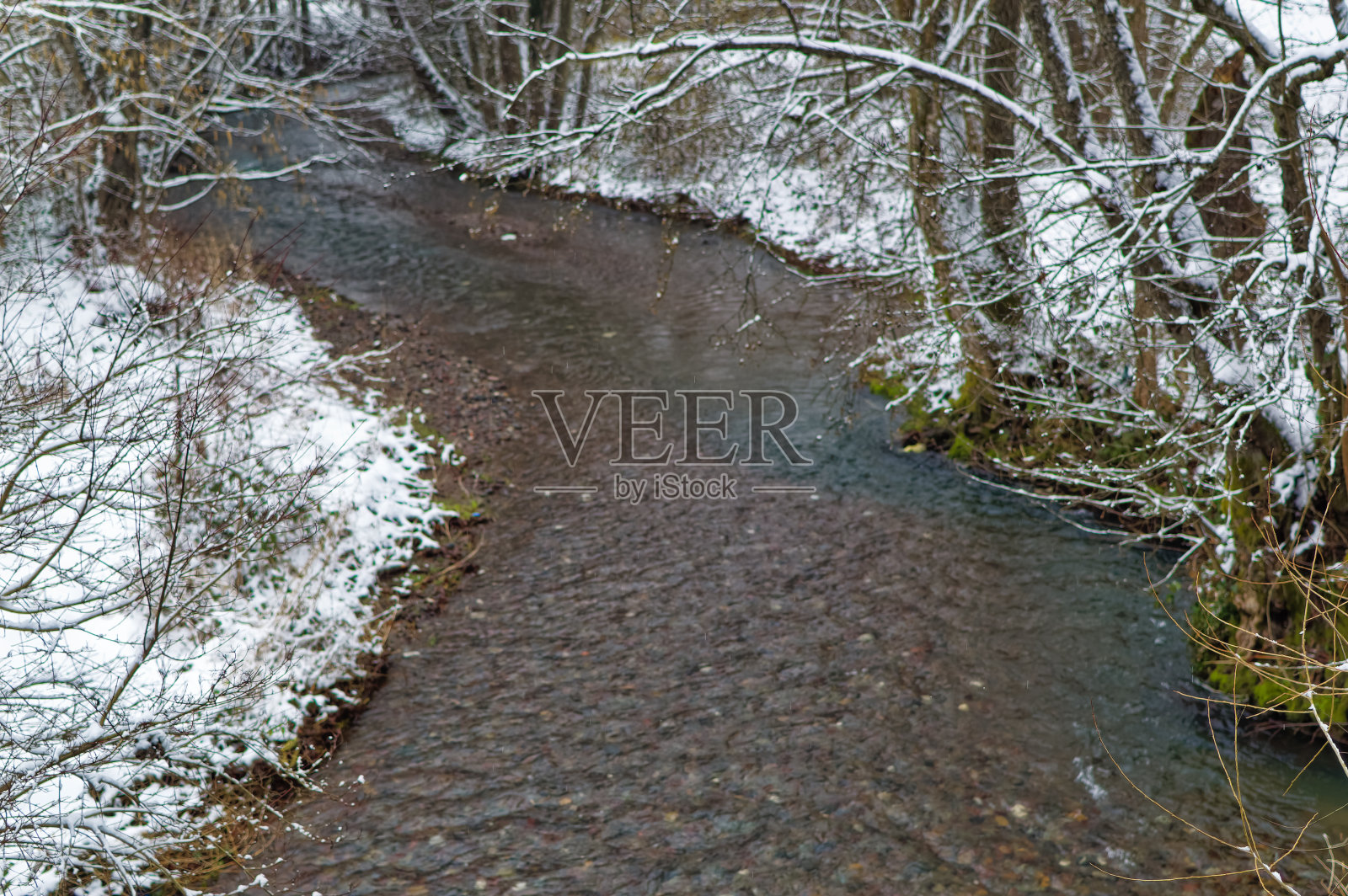 积雪覆盖的天然森林景观。照片摄影图片