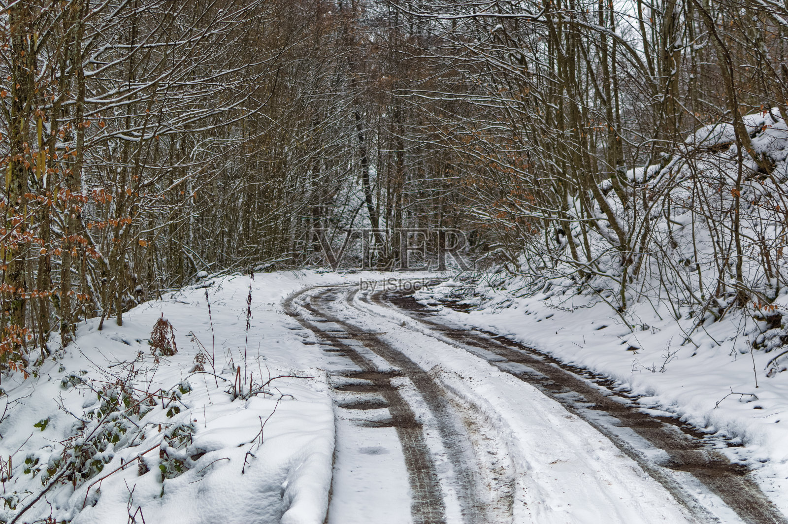积雪覆盖的天然森林景观。照片摄影图片