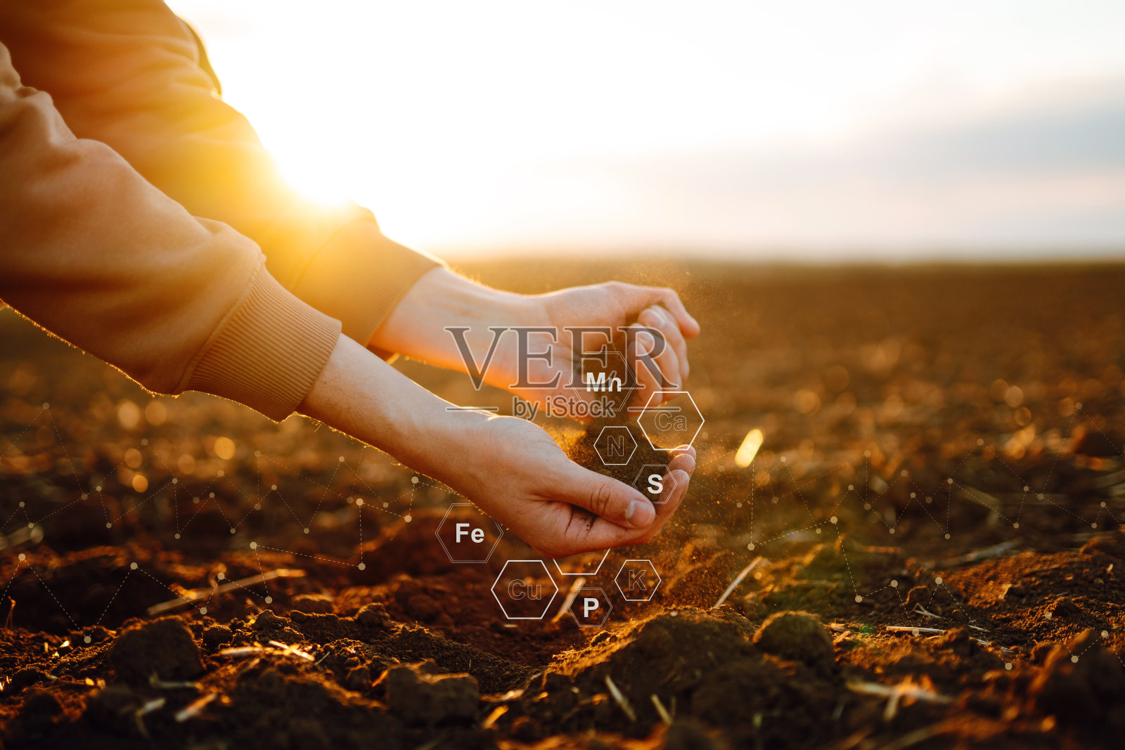 农田里的农学家手里拿着土壤。照片摄影图片