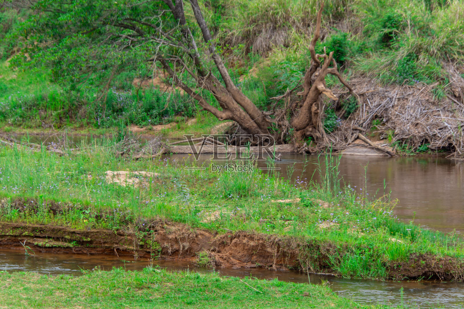 漂亮的小河穿过大草原照片摄影图片