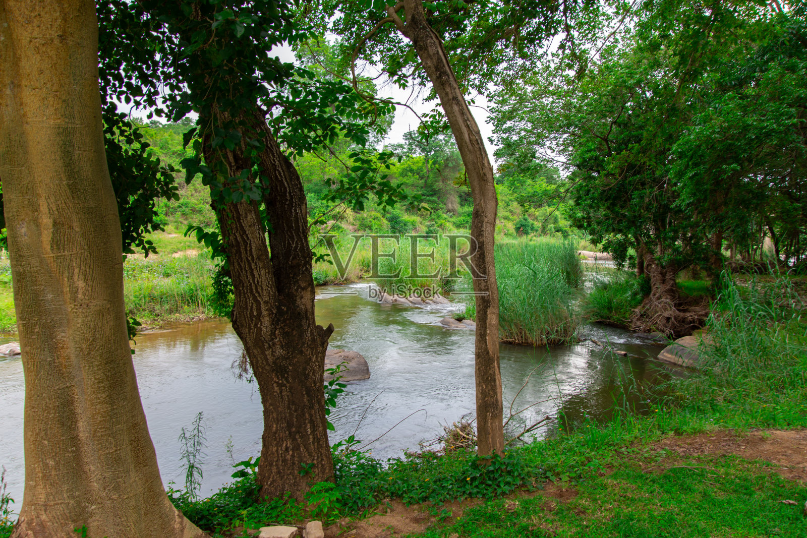 漂亮的小河穿过大草原照片摄影图片
